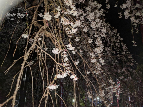 一日参り！