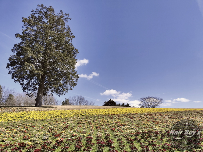 5月GW期間の休業及び、臨時休業のお知らせ