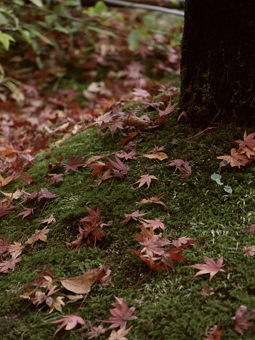 年末年始 休業のお知らせ！